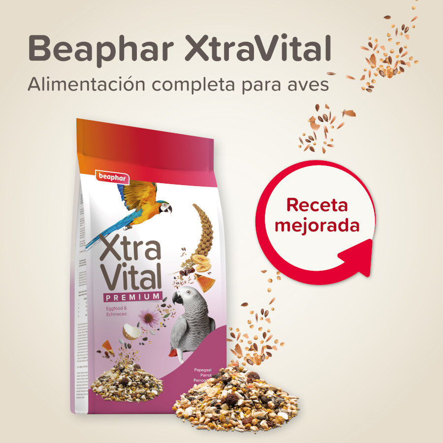 Beaphar XtraVital Premium Loros alimento para p&aacute;jaros, , large indicador imagen numero 2