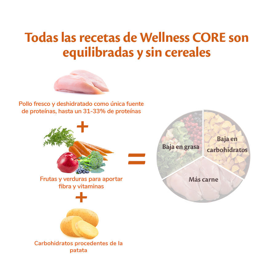 2.5 kg Wellness Core Puppy Large Original Pollo pienso para perros, , large indicador imagen numero 3