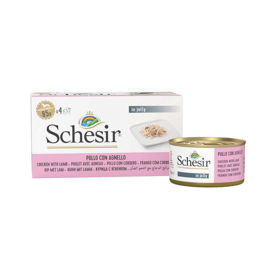 4 latas x 85 g Schesir Pollo y Cordero en Gelatina lata para perros, , large Imagen numero 1