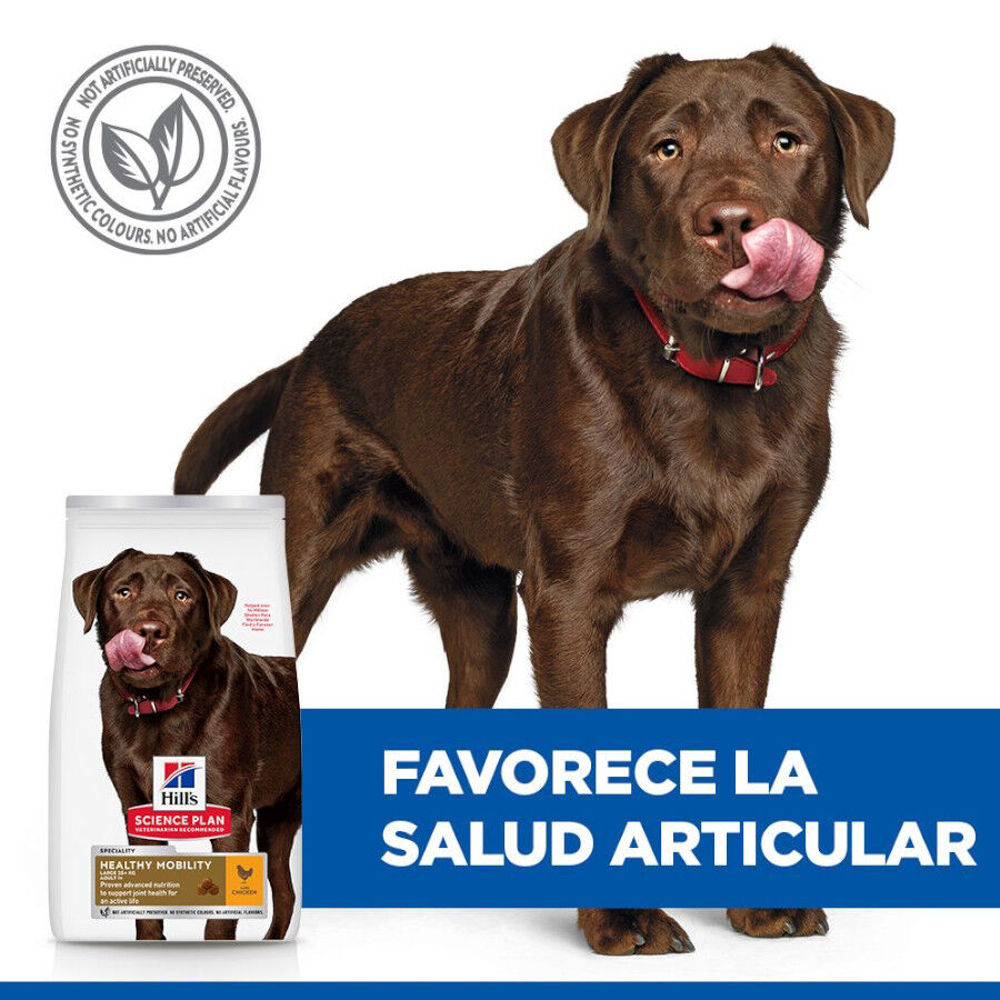 12 kg Hill's Science Plan Healthy Mobility Adult Large Pollo pienso para perros, , large indicador imagen numero 5