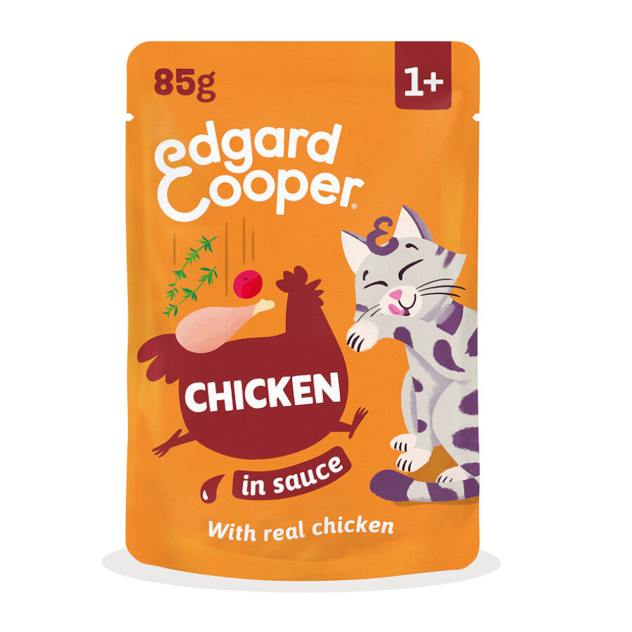 Edgard & Cooper Pollo sobre en salsa para gatos