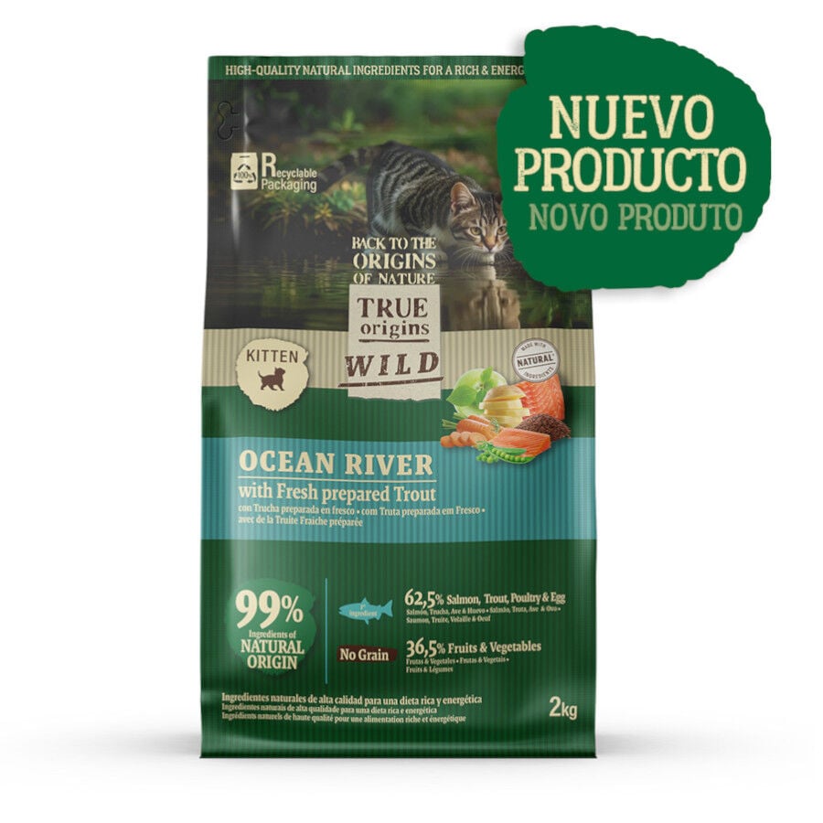 True Origins Wild Ocean River Salm&oacute;n y Trucha pienso para gatitos