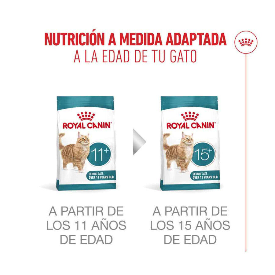 4 kg Royal Canin Ageing 11+ pienso para gatos&nbsp;senior, , large indicador imagen numero 13