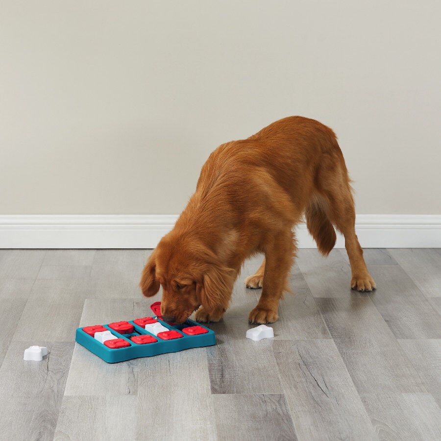 Outward Hound Brick Rompecabezas para perros, , large Imagen numero 2