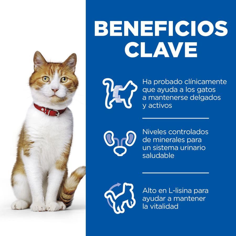 85 g Hill's Science Plan Sterilised Young Adult Trucha Sobre en Salsa para gatos, , large Imagen numero 3