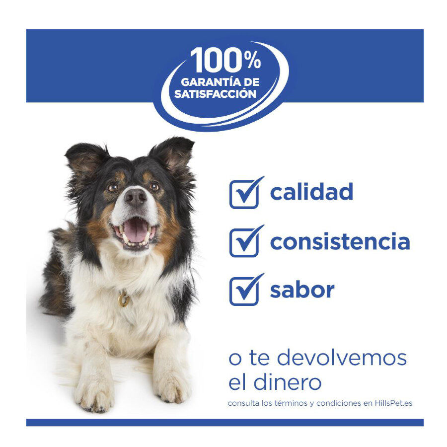14 kg Hill's Science Plan Adult Medium Hypoallergenic Salm&oacute;n pienso para perros, , large indicador imagen numero 6