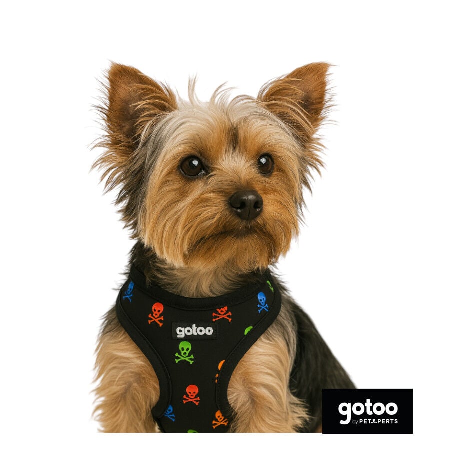 Gotoo Arn&eacute;s ajustable estampado calavera negro para perros