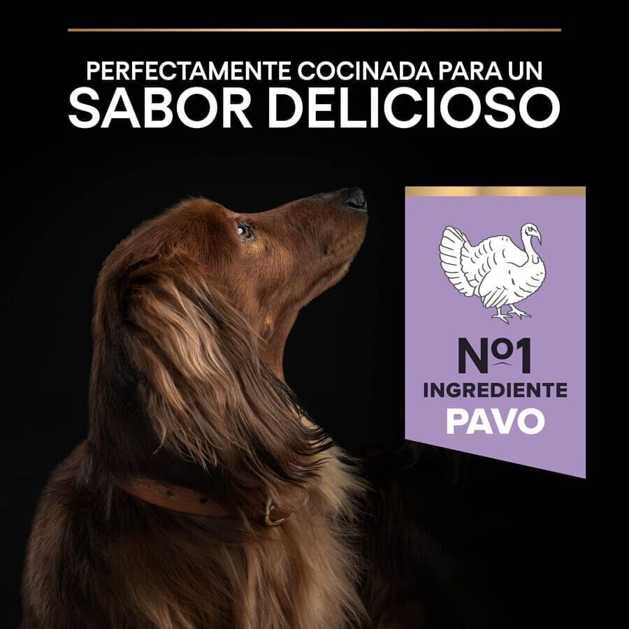 2.5 kg Pro Plan Adult Small y Mini Digesti&oacute;n Pavo pienso para perros, , large indicador imagen numero 7