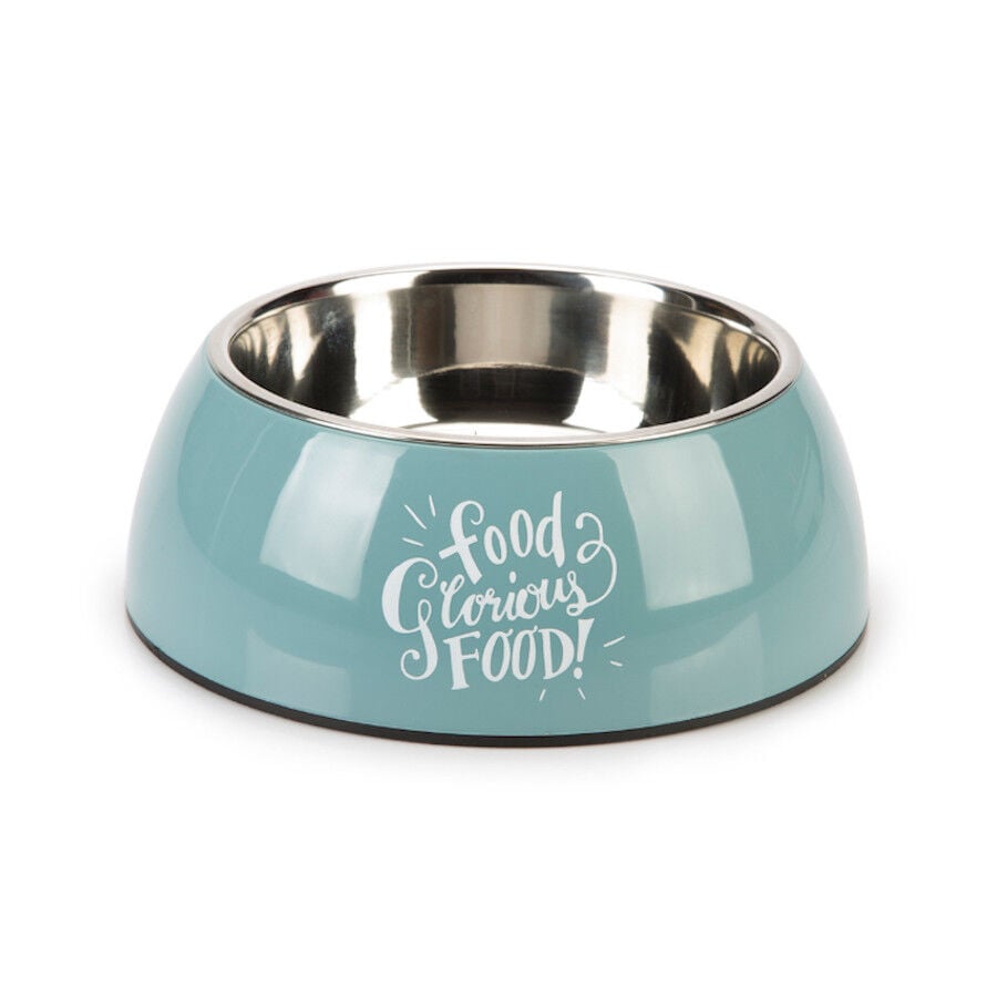 Beeztees Comedero Glorius Azul para perros, , large Imagen numero 1