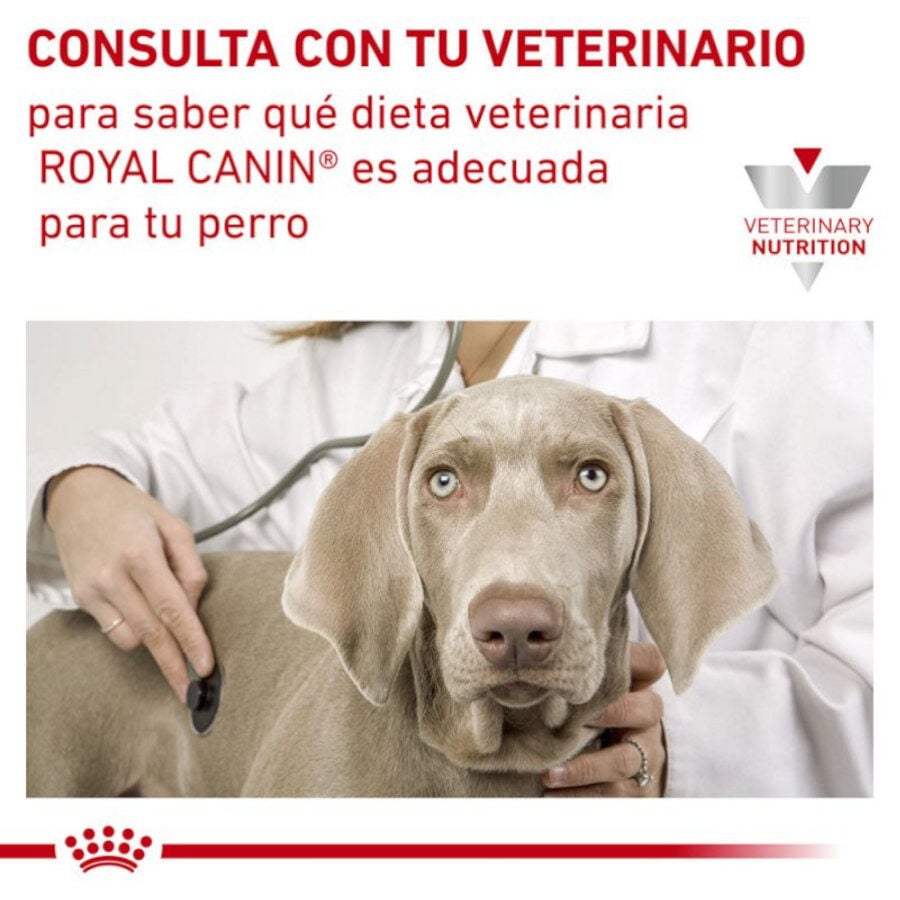 410 g Royal Canin Veterinary Sensitivity Control Mousse de Pollo y Arroz lata para perros, , large Imagen numero 3