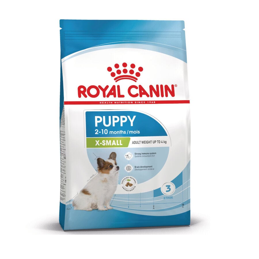 3 kg Royal Canin X-Small Puppy pienso para perros, , large indicador imagen numero 2