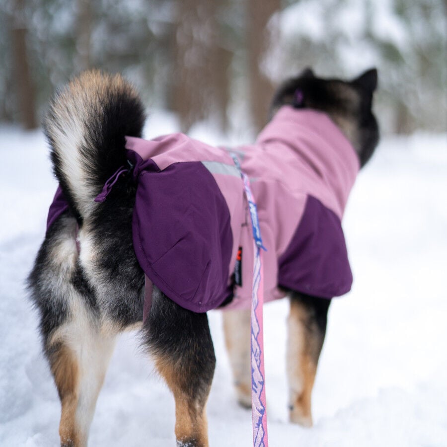 Non-stop Dogwear Chaqueta Malva para perros, , large indicador imagen numero 3