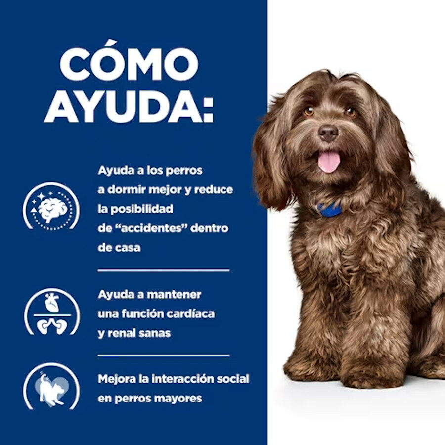 12 kg Hill's Prescription Diet b/d Ageing and Alertness Care Pollo pienso para perros&nbsp;senior, , large Imagen numero 4