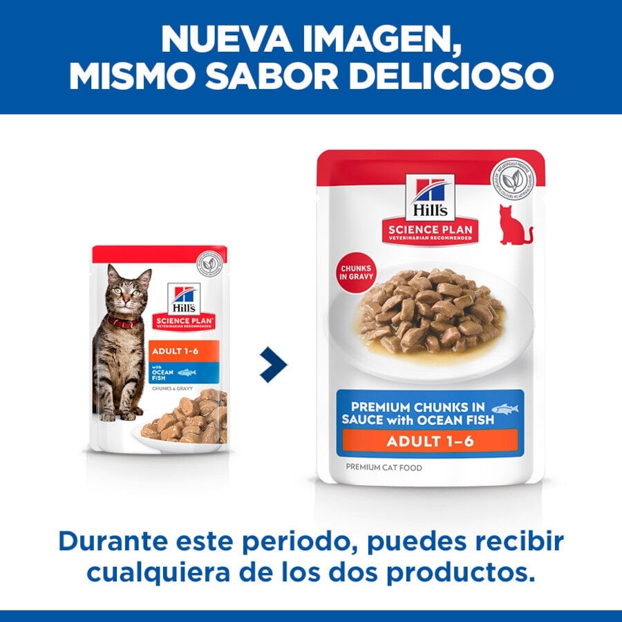 85 g Hill's Science Plan Adult Pescado sobre para gatos, , large indicador imagen numero 2