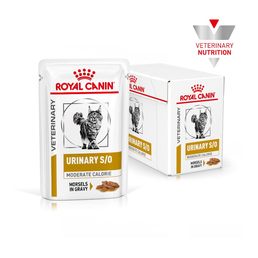 12 sobres x 85 g Royal Canin Veterinary Urinary Moderate Calorie sobres para gatos, , large Imagen numero 2