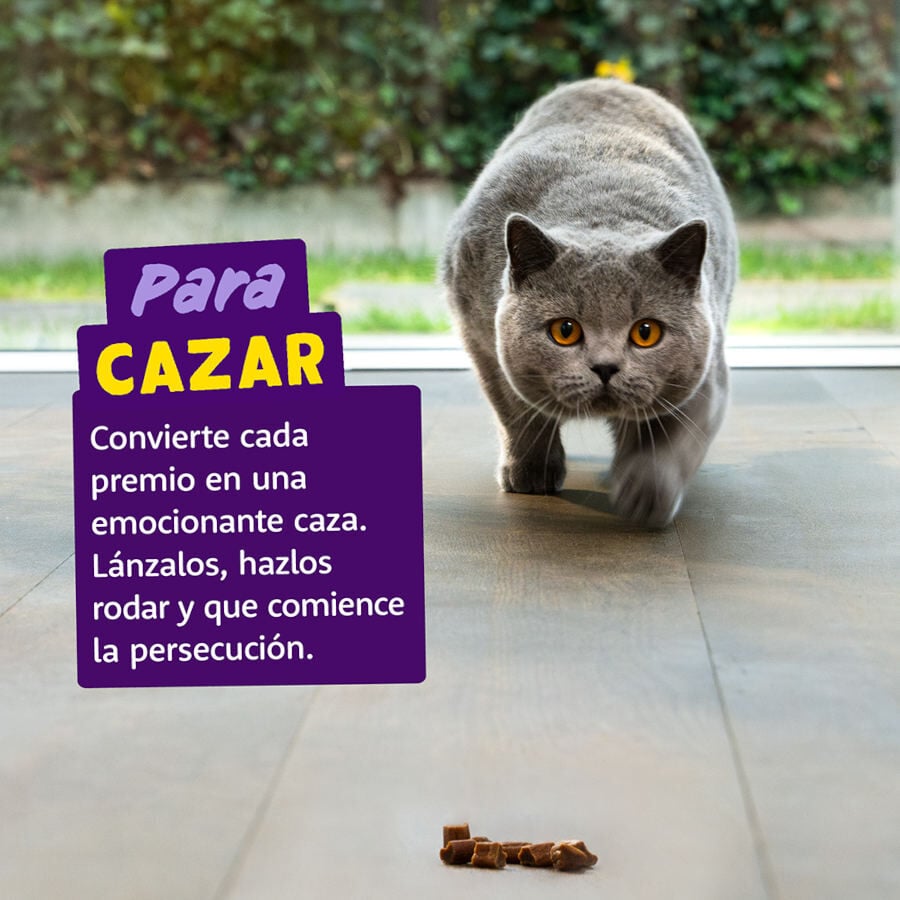 45 g Edgard & Cooper Rollitos Salm&oacute;n y Pollo para gatos, , large Imagen numero 3
