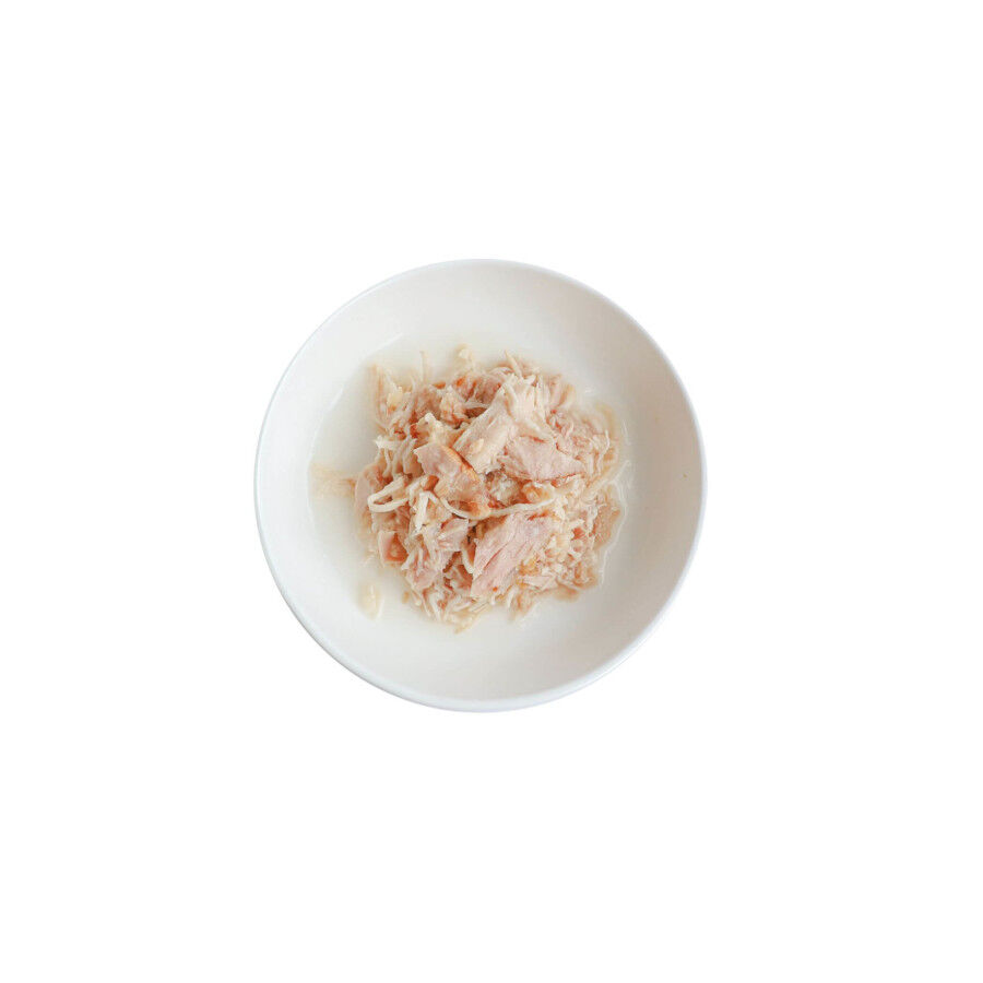 Kit Cat Pollo y Salm&oacute;n Gelatina Lata para gatos, , large Imagen numero 2