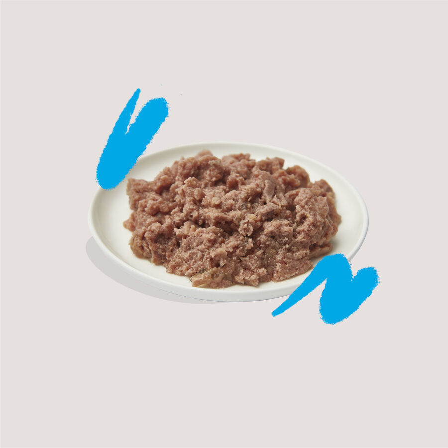 85 g Edgard & Cooper Adult Salm&oacute;n y Pollo Ecol&oacute;gicos en Pat&eacute; tarrina para gatos, , large Imagen numero 3