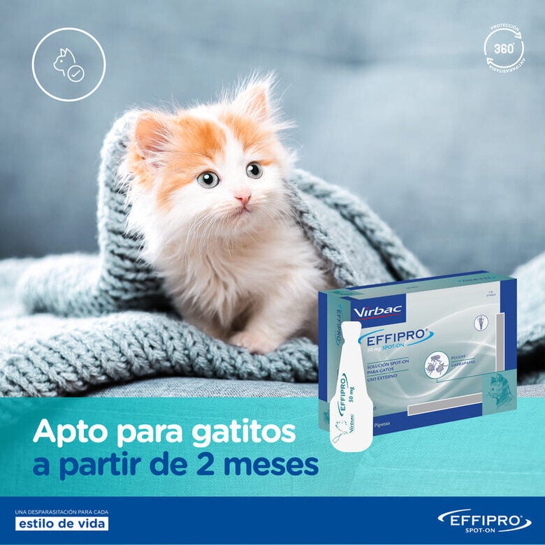 Virbac Effipro pipetas antiparasitarias gatos, , large Imagen numero 7
