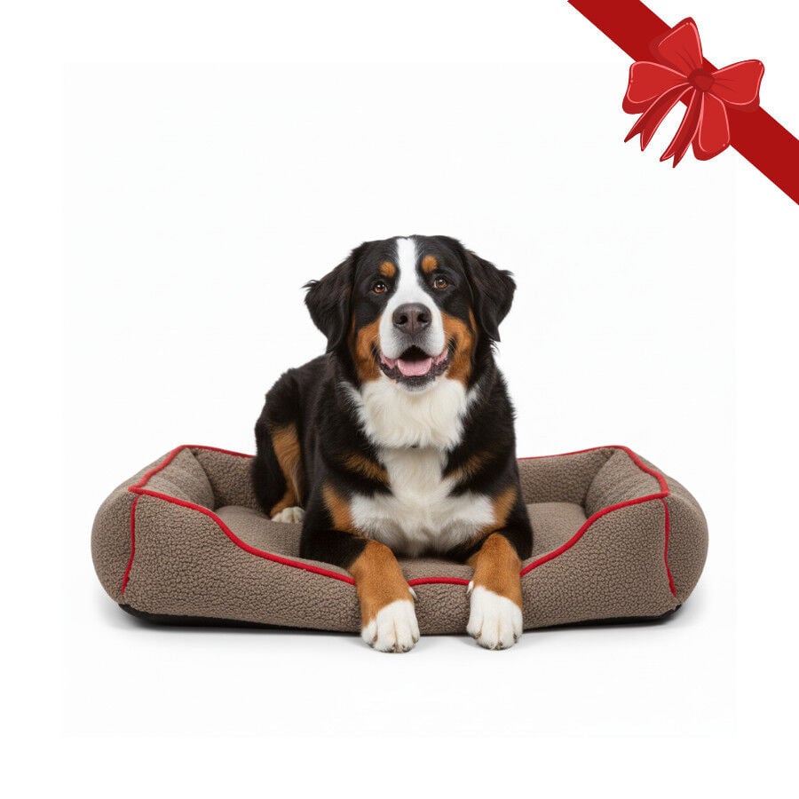 Wonder Christmas Cama Navide&ntilde;a Marr&oacute;n y Roja para perros