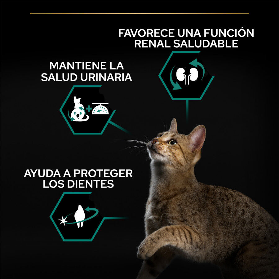 12 kg (10 + 2 kg &iexcl;gratis!) Pro Plan Adult Sterilized Pavo Pienso para gatos, , large Imagen numero 2