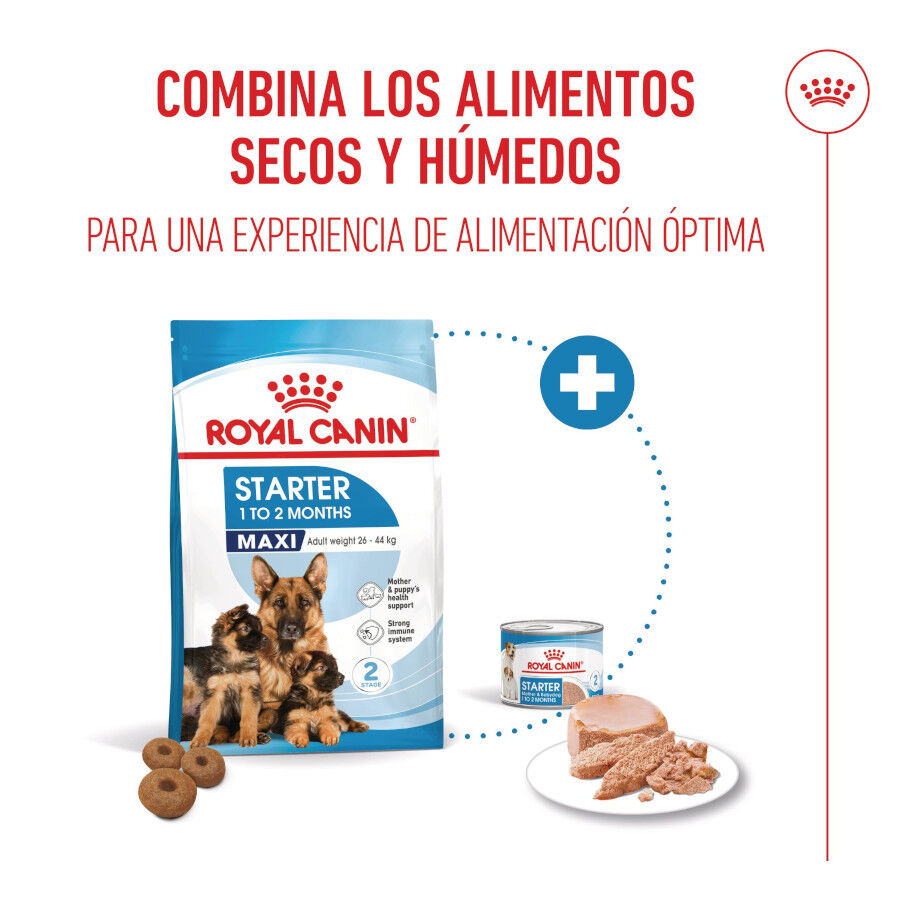 15 kg Royal Canin Starter MotheryBaby Maxi pienso para perros, , large indicador imagen numero 5