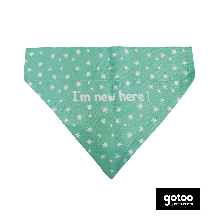 Gotoo Bandana estampada verde para perros, , large indicador imagen numero 2