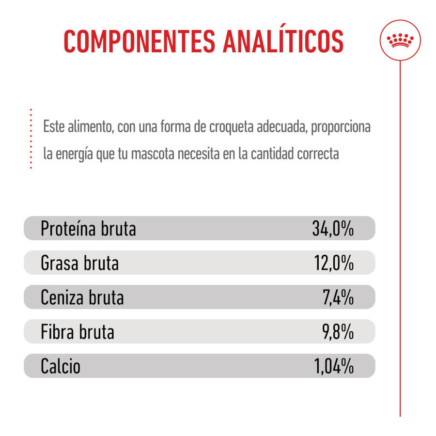3.5 kg Royal Canin Kitten Sterilised pienso para gatos, , large indicador imagen numero 10