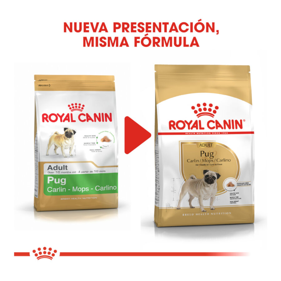 3 kg Royal Canin Adult Pug pienso para perros, , large indicador imagen numero 3