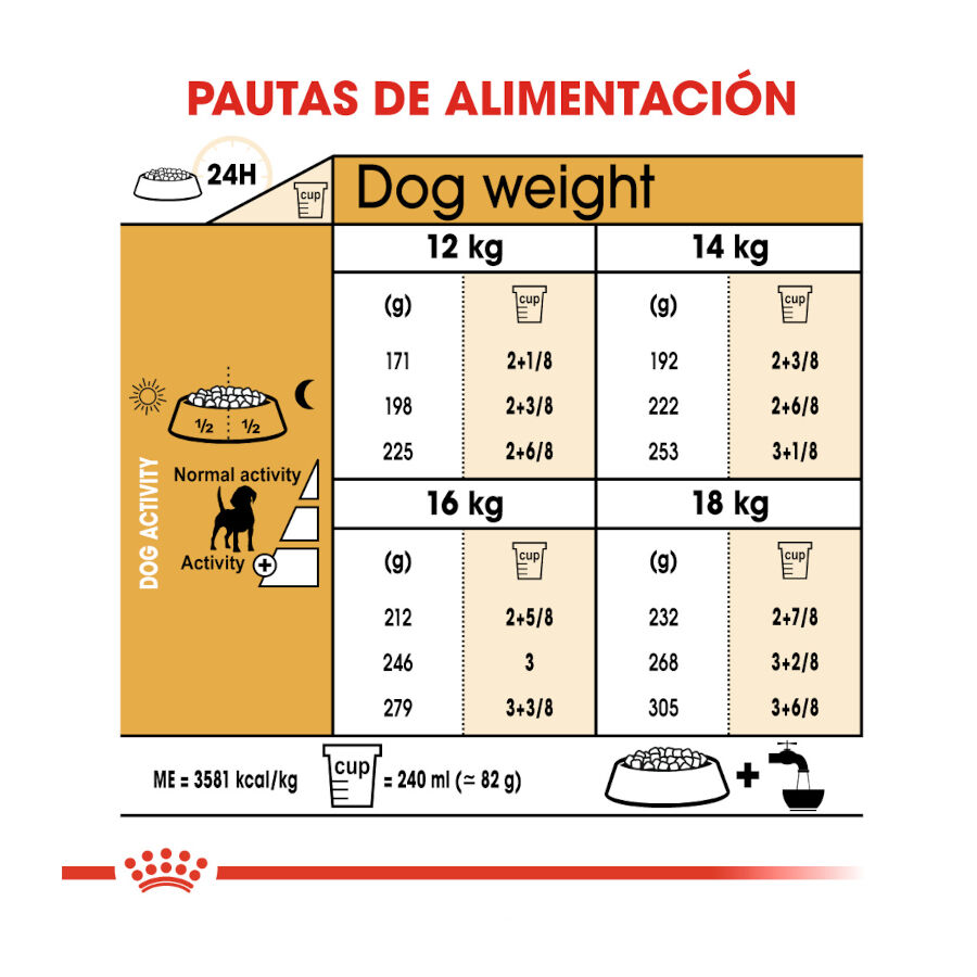 12 kg Royal Canin Adult Beagle pienso para perros, , large Imagen numero 8