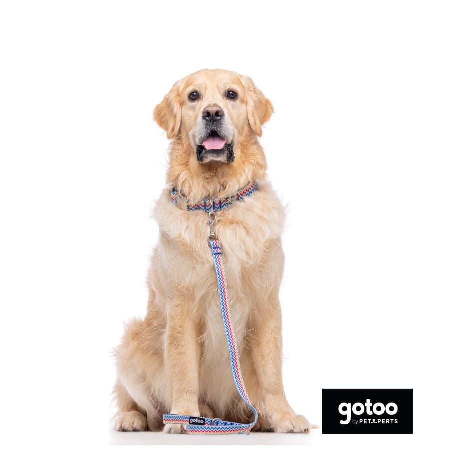 Gotoo Collar estampado rayas zig-zag para perros, , large Imagen numero 4
