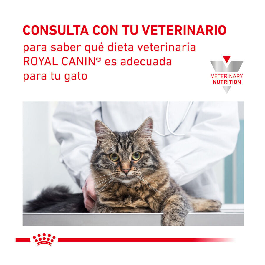 12 sobres x 85 g Royal Canin Veterinary Urinary Moderate Calorie sobres para gatos, , large Imagen numero 9