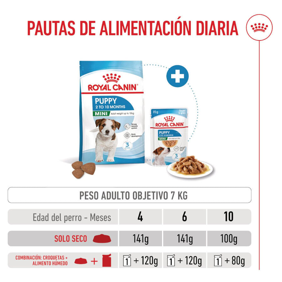 8 kg Royal Canin Mini Puppy pienso para perros, , large indicador imagen numero 8