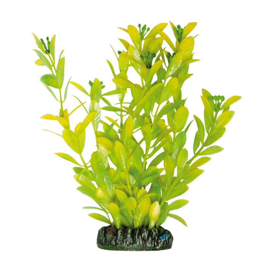 ICA Aquatic Plants Higr&oacute;fila Polisperma planta artificial para acuarios