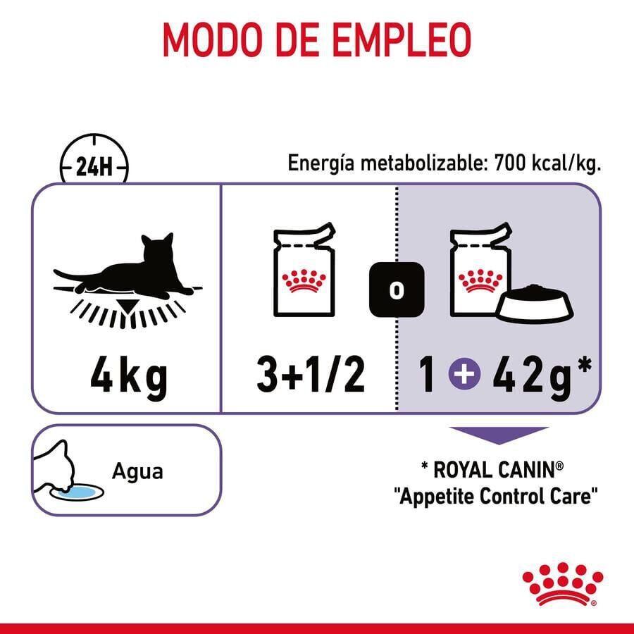 85 g Royal Canin Nutrition Appetite Control Care gelatina para gatos, , large Imagen numero 6