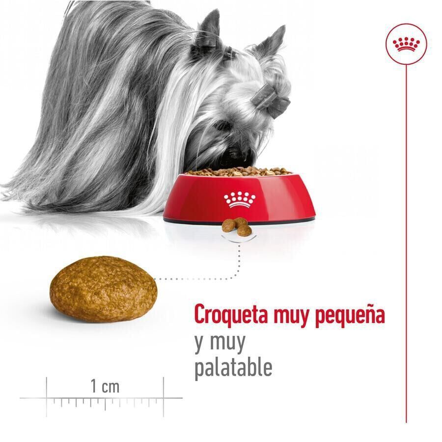 3 kg Royal Canin X-Small Adult pienso para perros, , large indicador imagen numero 6