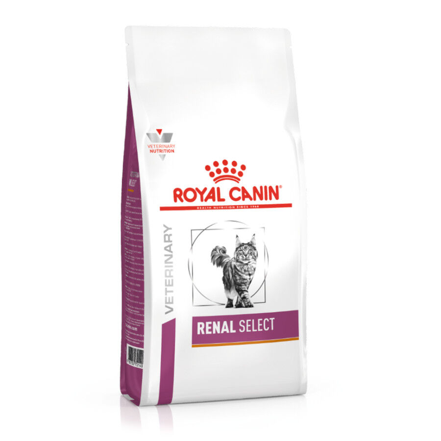 4 kg Royal Canin Veterinary Renal Select pienso para gatos, , large indicador imagen numero 2