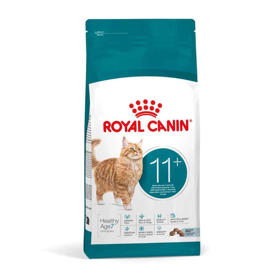 4 kg Royal Canin Ageing 11+ pienso para gatos&nbsp;senior, , large Imagen numero 2