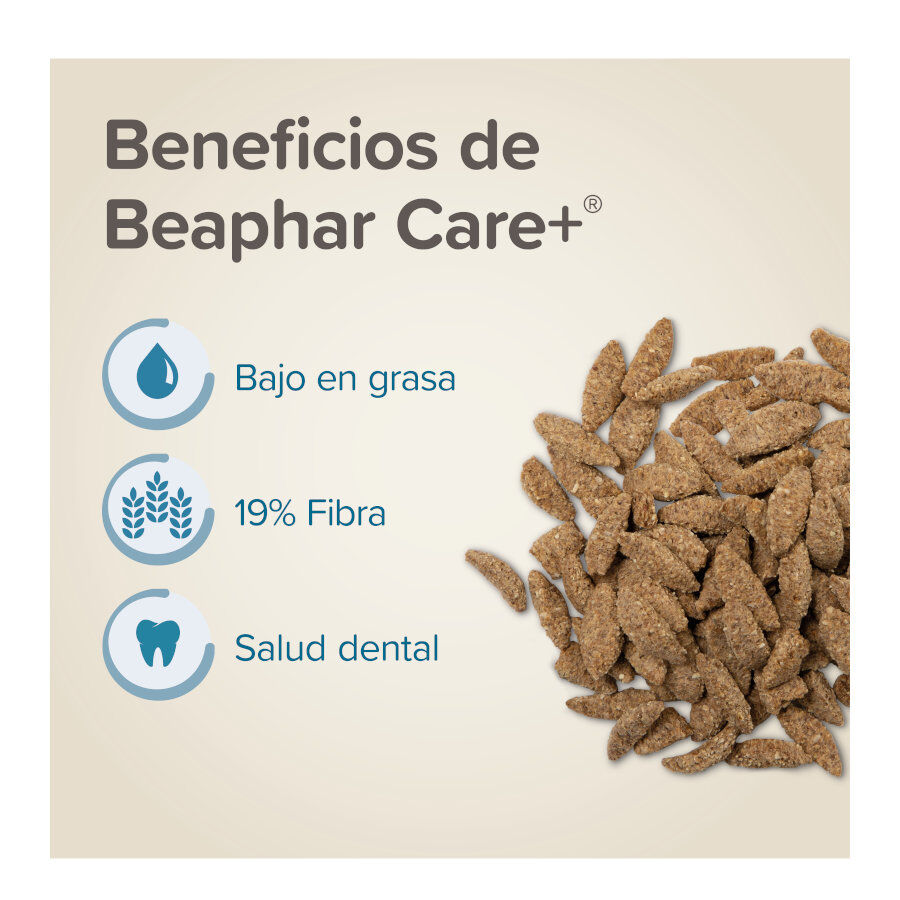 Beaphar Care+ pienso para chinchillas, , large indicador imagen numero 3
