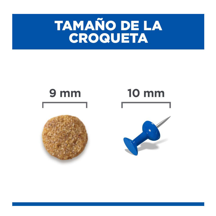 10 kg Hill's Science Plan Adult Pienso Salm&oacute;n para gatos, , large Imagen numero 9