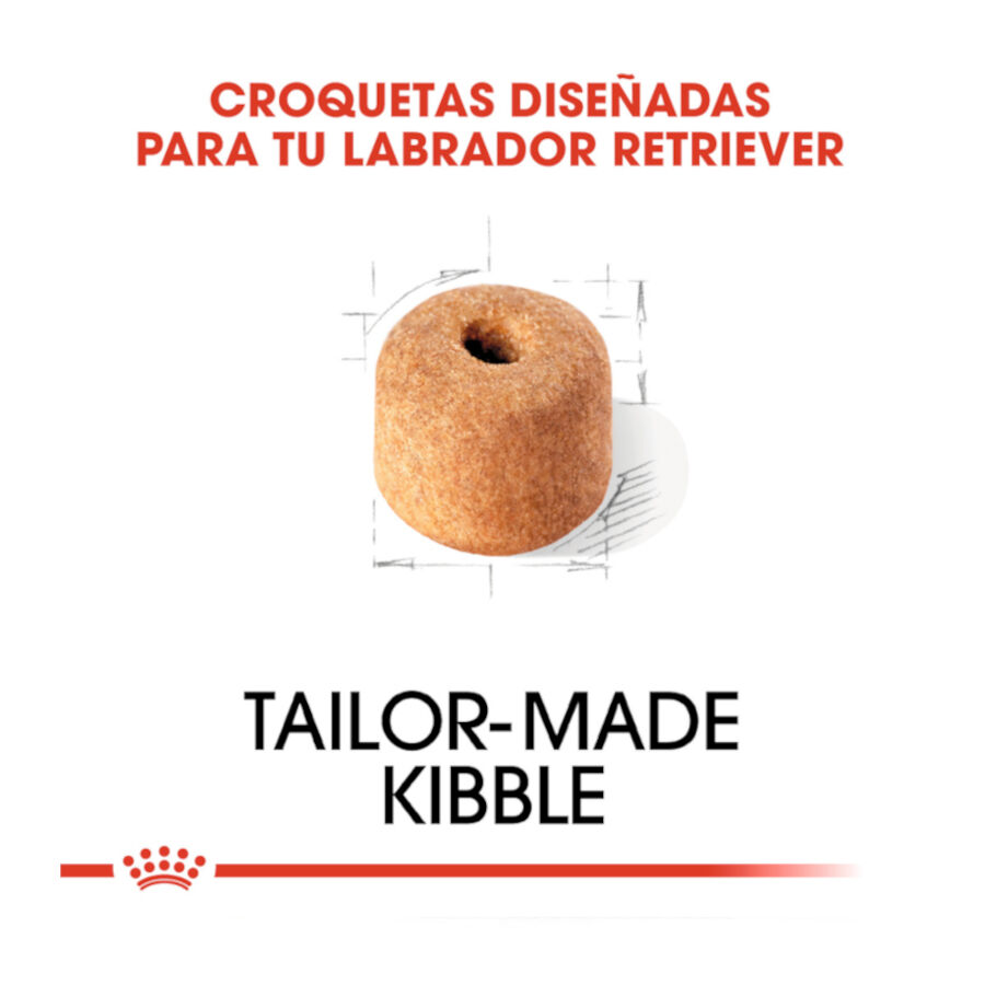 12 kg Royal Canin Adult Labrador Retriever pienso para perros, , large indicador imagen numero 5