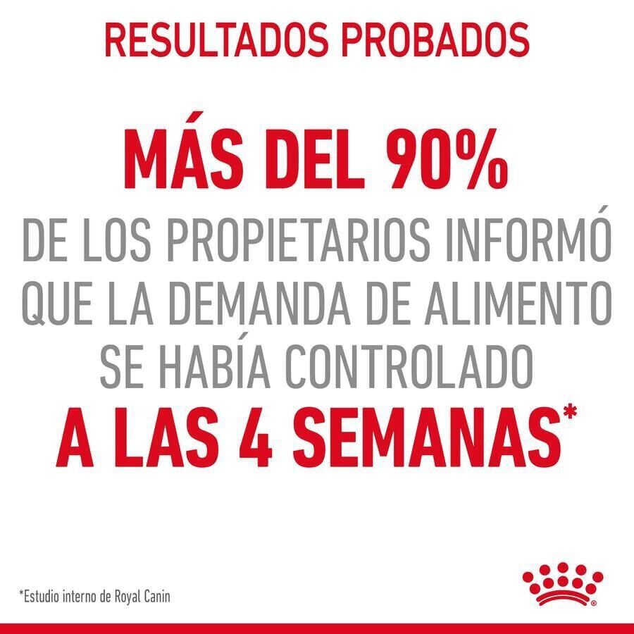 10 kg Royal Canin Appetite Control Care pienso para gatos, , large Imagen numero 5