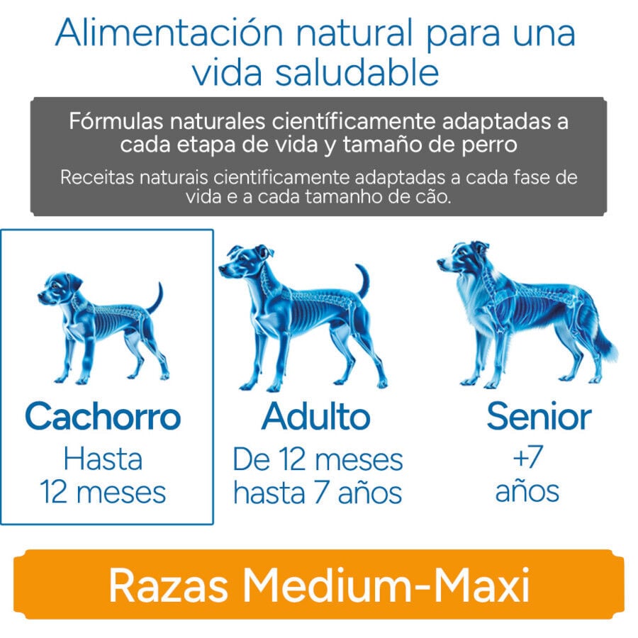 12 kg Criadores Cient&iacute;fico Medium Maxi Pienso Pollo para cachorros, , large indicador imagen numero 11