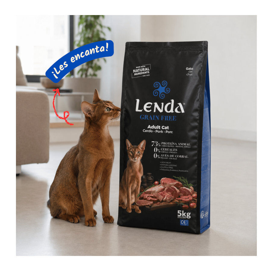 5 Kg Lenda Grain Free Cerdo pienso para gatos, , large indicador imagen numero 5