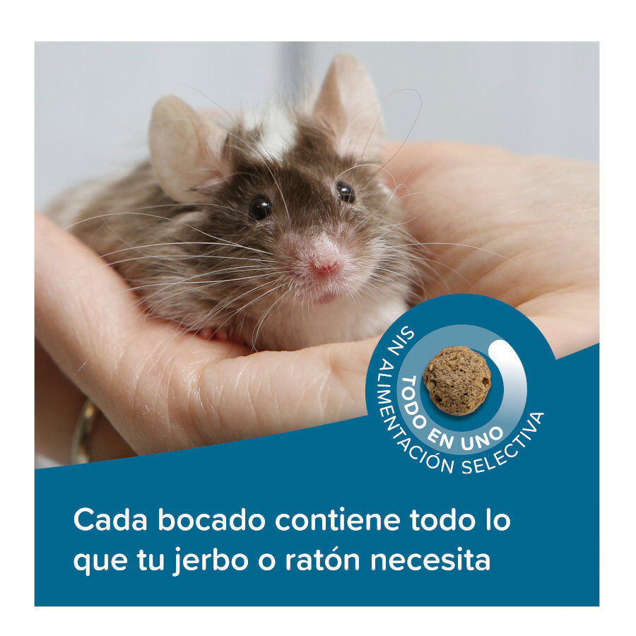 Beaphar Care+ Pienso para ratones y jerbos, , large Imagen numero 4