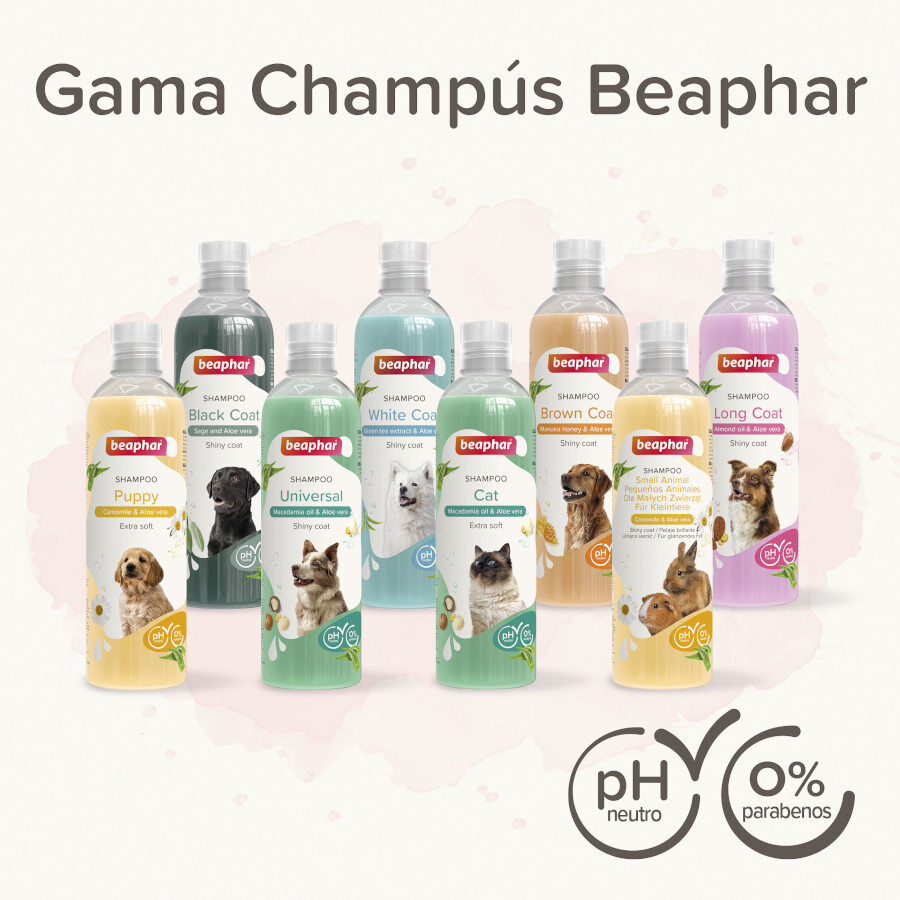 Beaphar Champ&uacute; Extra Suave para gatos, , large indicador imagen numero 4