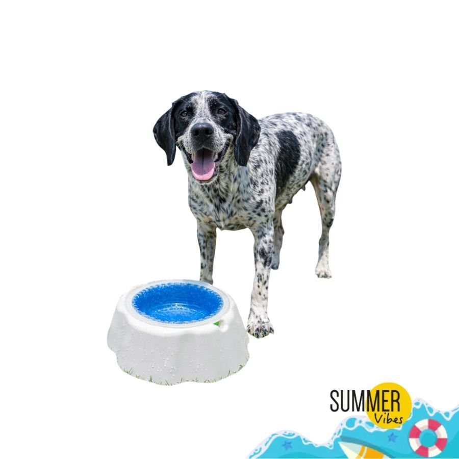 Summer Vibes Bowl Refrescante Comedero y Bebedero para perros, , large indicador imagen numero 7