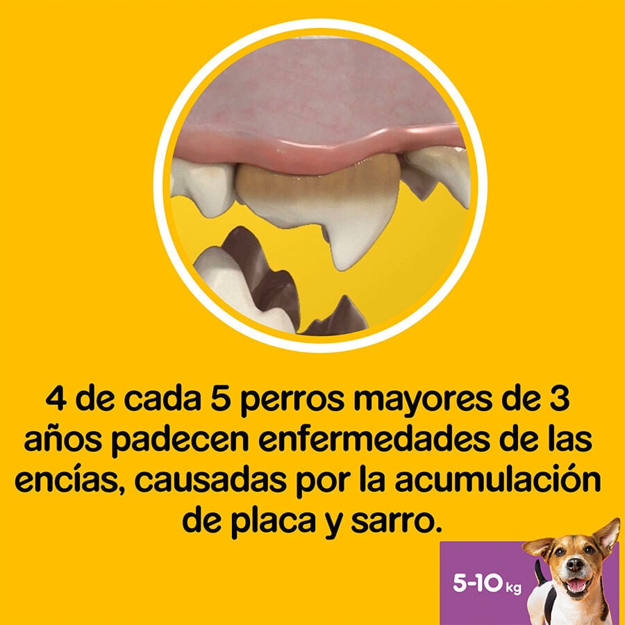 28 barritas Pedigree Dentastix Fresh Snacks Dentales para Perros Peque&ntilde;os, , large indicador imagen numero 7