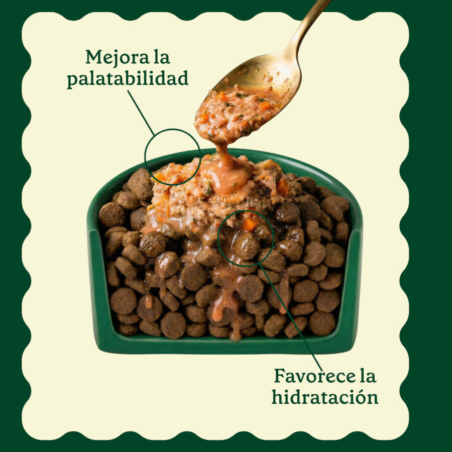 85 g Wild Balance Toppers Salm&oacute;n salsa para perros, , large indicador imagen numero 7