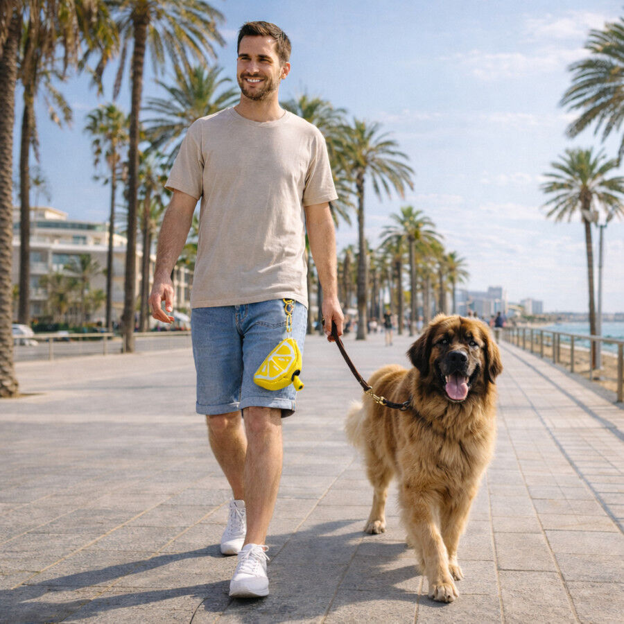 Summer Vibes Porta bolsas Lim&oacute;n para perros, , large indicador imagen numero 1